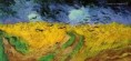 /album/vyber-z-van-goghovych-obrazu/van-gogh-field-jpg/
